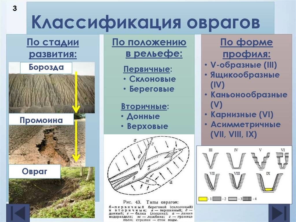Что такое балки и овраги? определение и примеры | статья для 4 класса