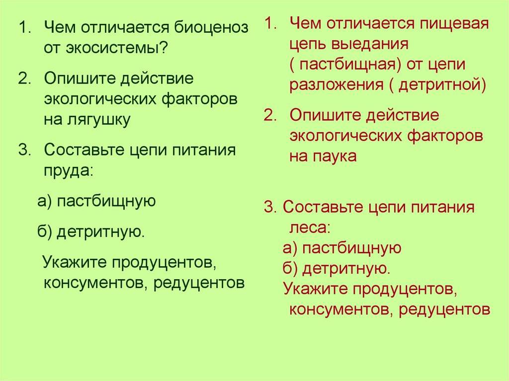 Чем отличается биогеоценоз от экосистемы