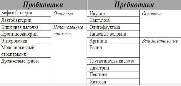 Пробиотики и пребиотики - список препаратов, отличия, эффекты, показания к применению