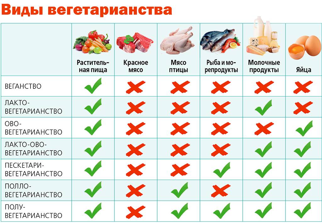 Вегетарианство и веганство: плюсы и минусы этих систем