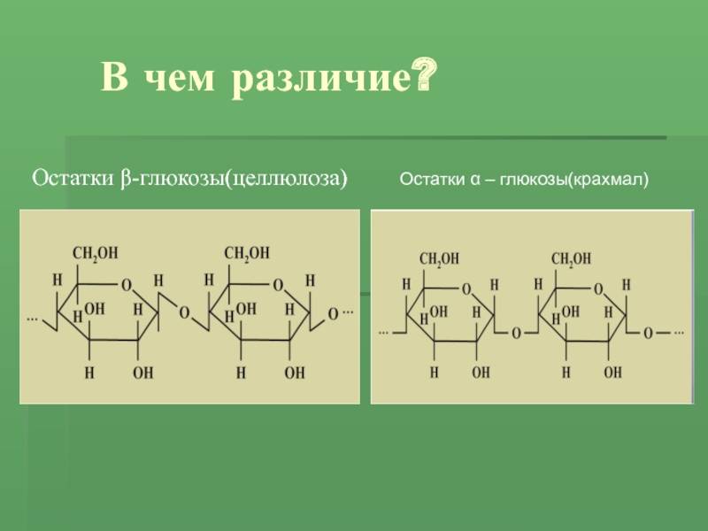 § 44. целлюлоза