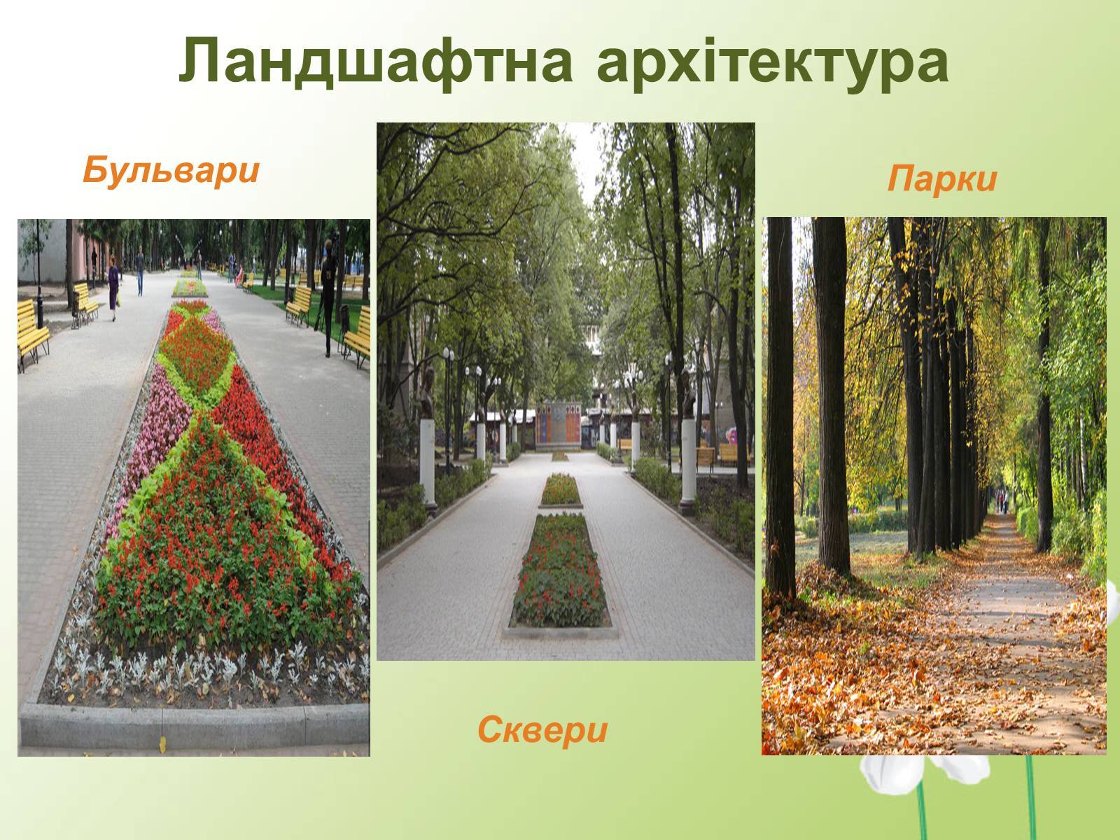 Чем парк отличается от сквера - domkolgotok.ru