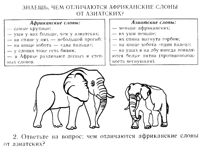 Чем отличается индийский (азиатский) слон от африканского | в чем разница