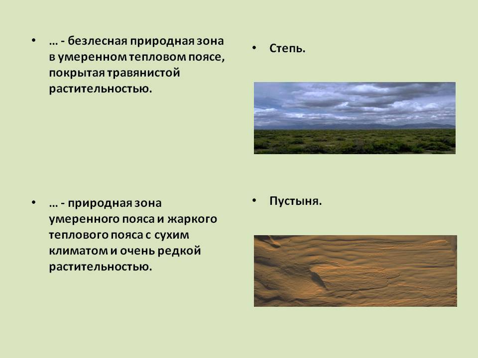 Энциклопедия пустыни: жизнедеятельность пустыни и ее обитатели. групповые двухнедельные туры по пустыне.