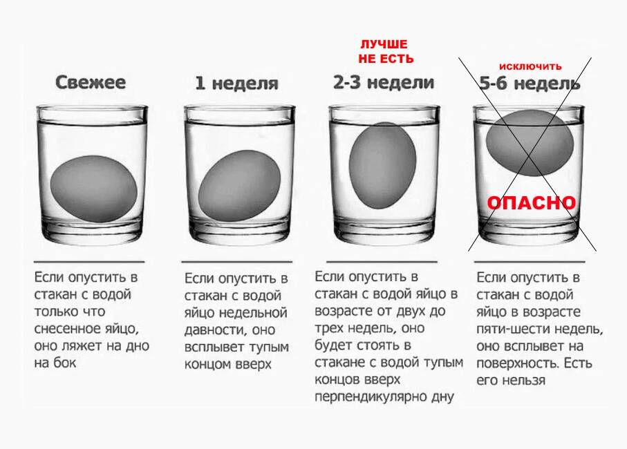 Как определить испорченное яйцо? | питание и наука