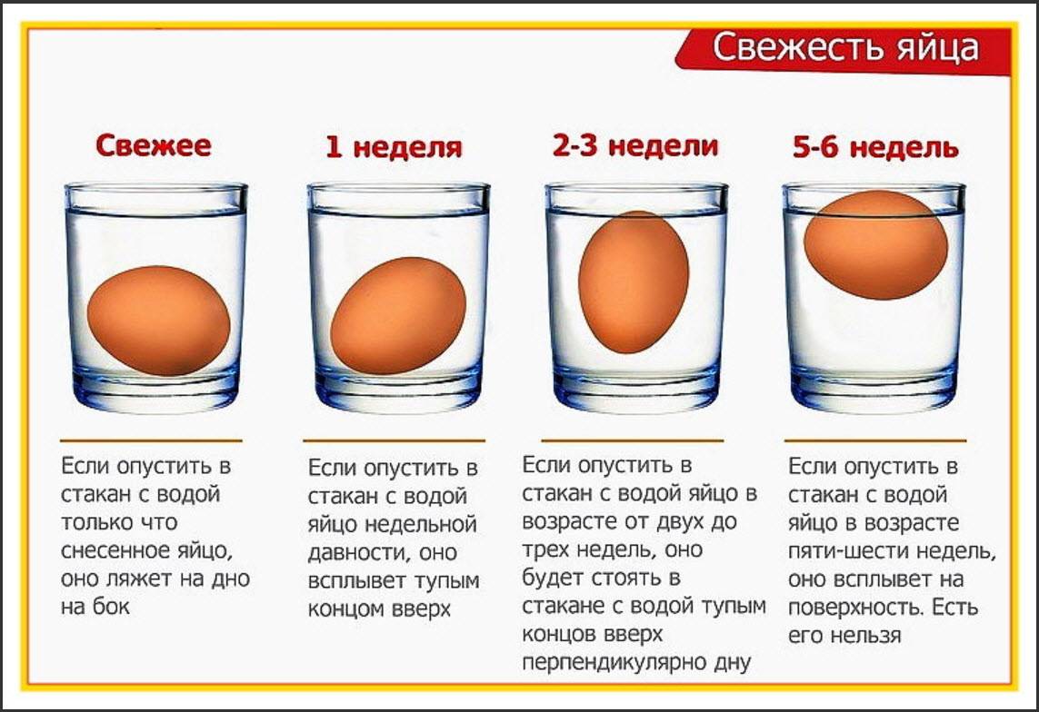 Как проверить яйца (куриные, перепелиные, гусиные) на свежесть в домашних условиях: проверка в воде и овоскопом