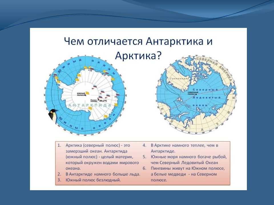 Антарктика - расположение на карте мира, климат, факты