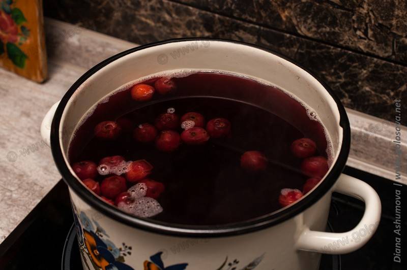 Сколько варить компот из сухофруктов, ягод и свежих фруктов