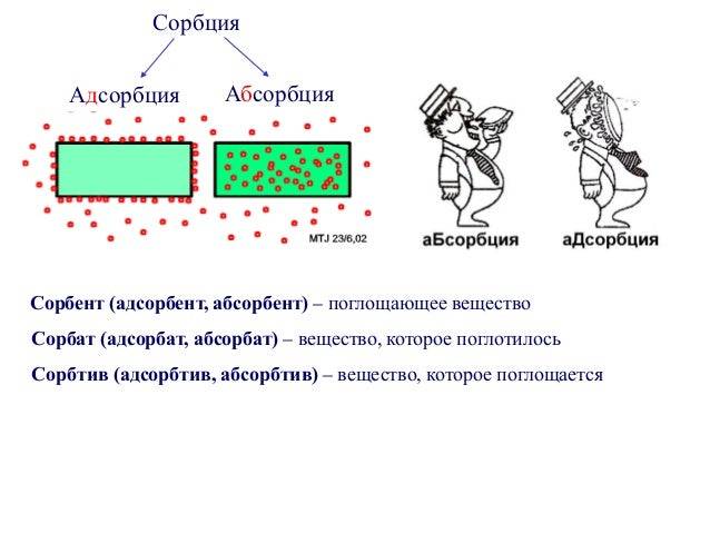 Microbiology note – online biology notes