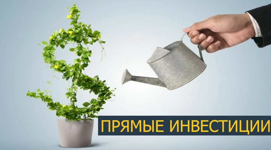 Прямые инвестиции: обзор | trandinvest.ru