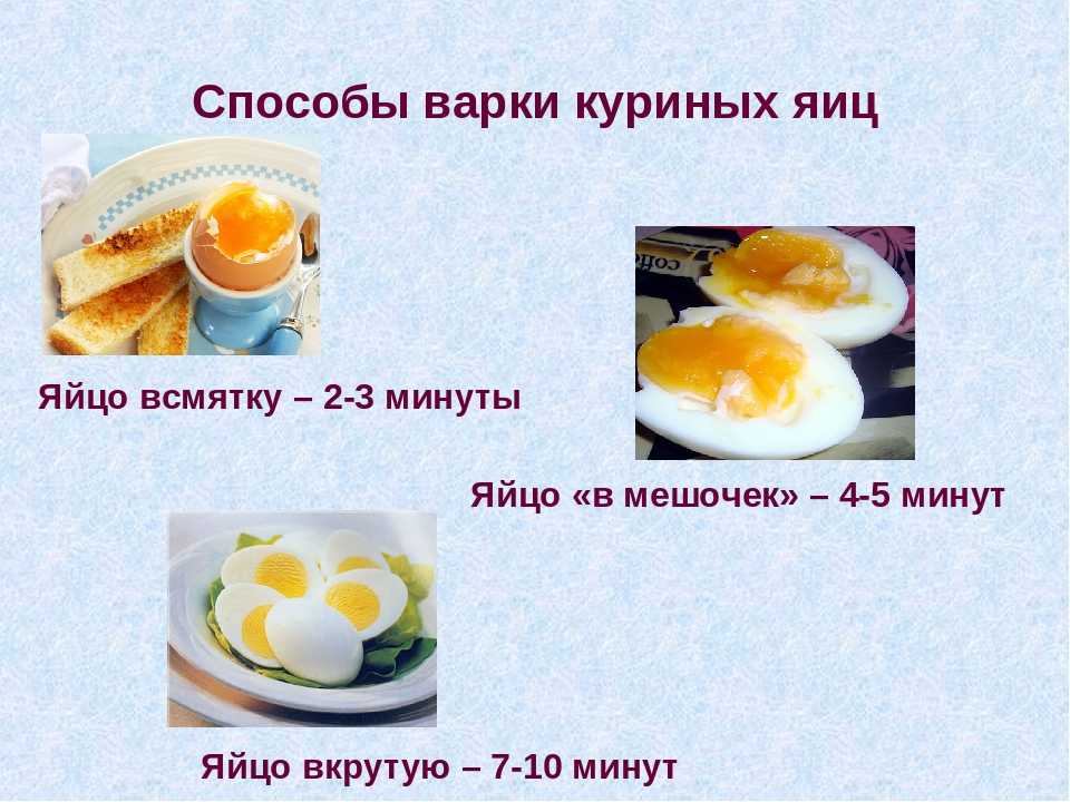 Чем отличается омлет от яичницы: виды блюд