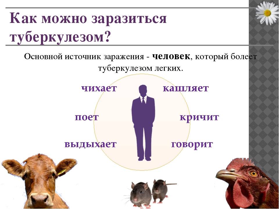 Туберкулез