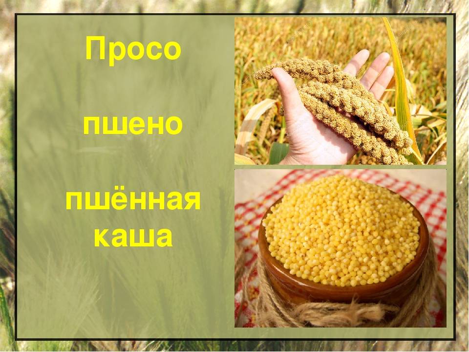 Наши каши: из чего их делают на самом деле?