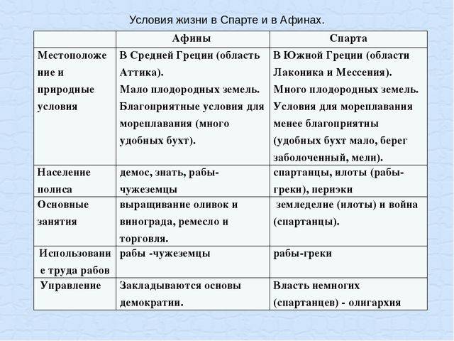 Чем отличались спартанское и афинское правительства