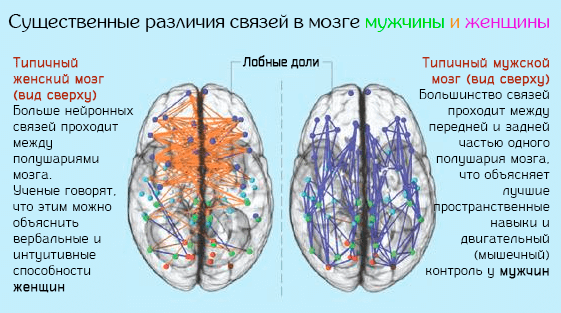 Чем отличается женщина от девушки