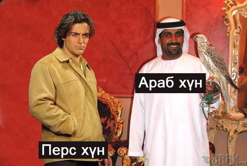 Арабы и персы различия. персы