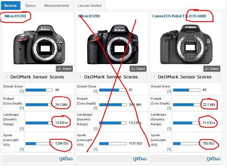 Canon vs nikon - difference and comparison | diffen