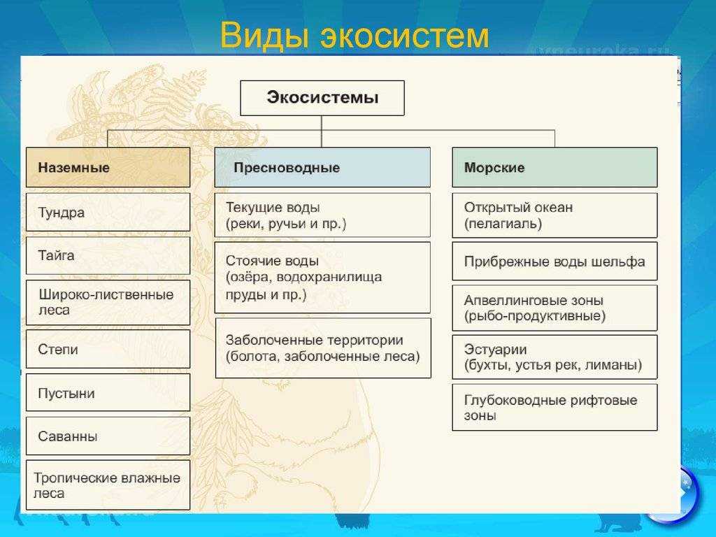 Биогеоценоз животных и растений: виды, уровни и структура.